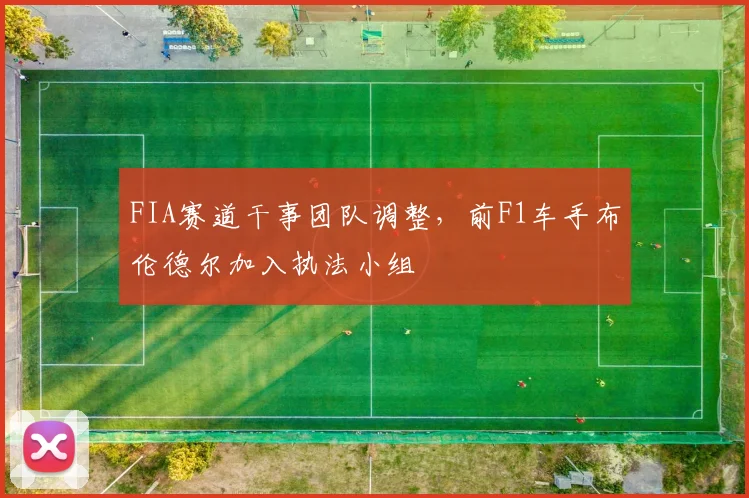 FIA赛道干事团队调整,前F1车手布伦德尔加入执法小组